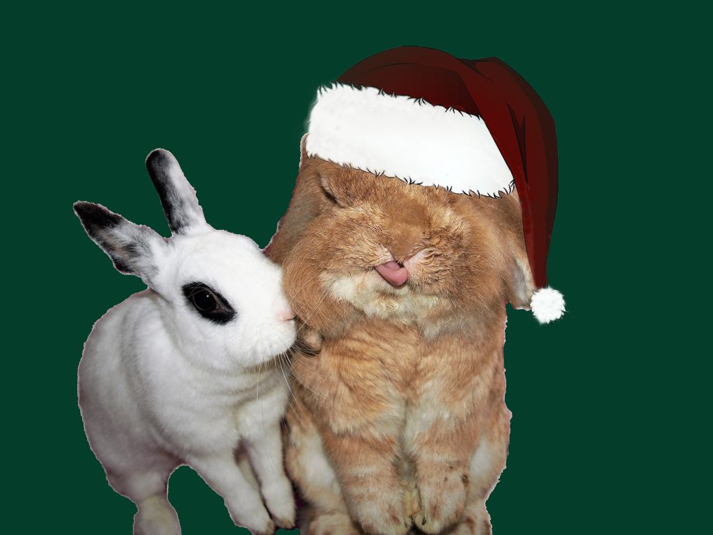 Weihnachtskarte mit Kaninchen