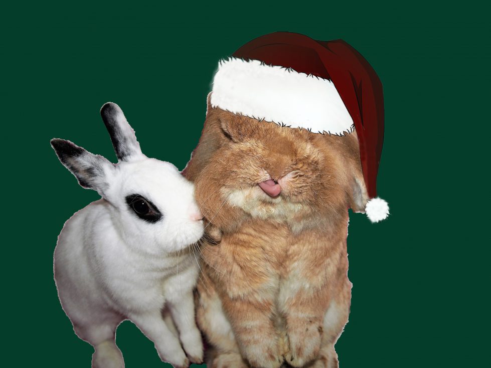 Weihnachtskarte mit Kaninchen