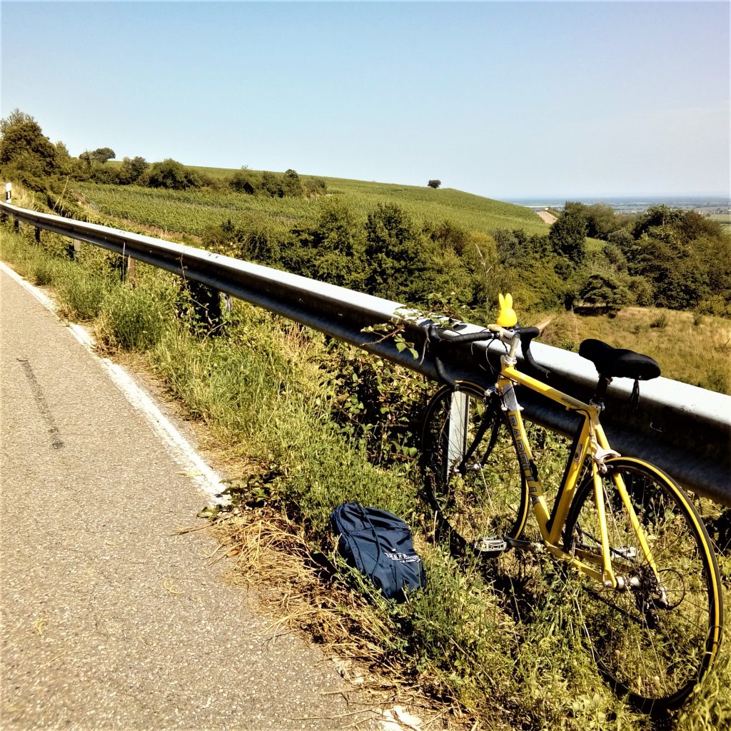 Ein gelbes rennrad, genannt Goldfüchsin, steht am Straßenrand in einer Pfälzer Landschaft.